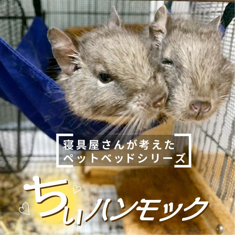 ペットベッド ハンモック 小動物 チンチラ デグー ハムスター 2枚セット ペット 洗える Pt8001 2set 寝具 インテリアのレオワイド 通販 Yahoo ショッピング