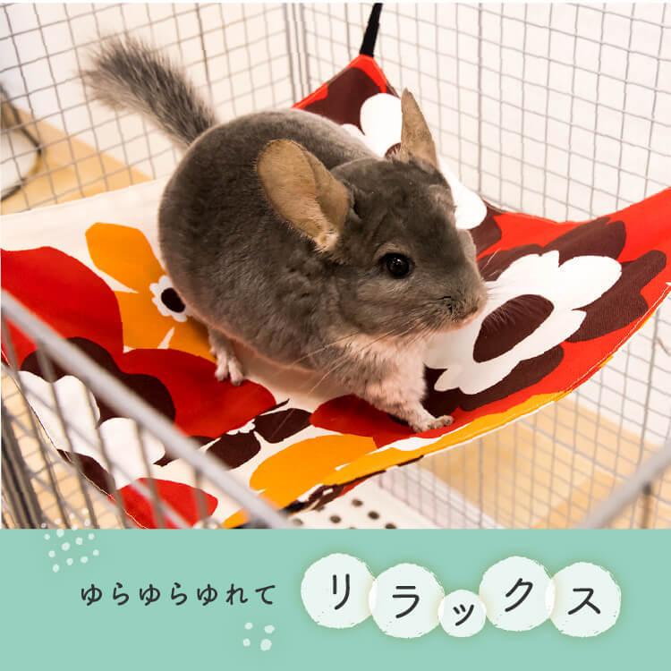 ゆらゆら☆チンチラ☆鳥かごのインテリア