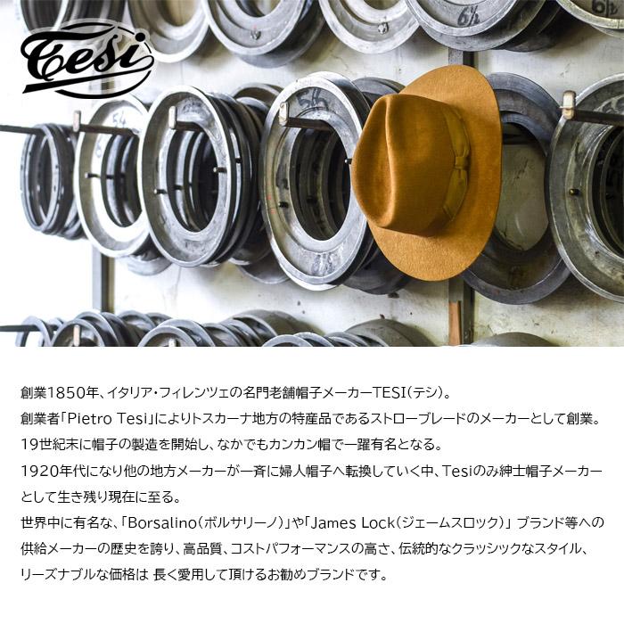 tesi（テシ） イタリア製 つば 短い ビーバー ファー フェルト 中折れ