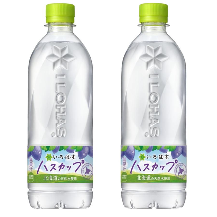 送料無料(地域限定) 【 北海道限定 】 い・ろ・は・す I LOHAS ハスカップ 540ml × 24本 コカコーラ ミネラルウォーター ご当地 いろはす イロハス | い・ろ・は・す | 02