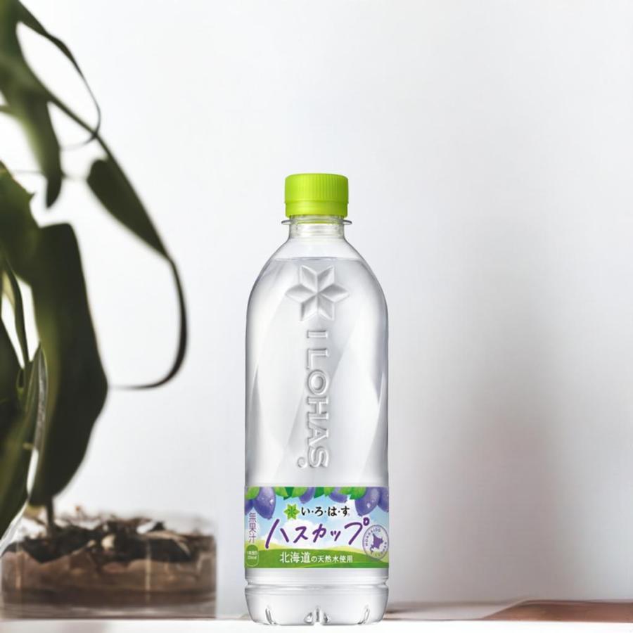 送料無料(地域限定) 【 北海道限定 】 い・ろ・は・す I LOHAS ハスカップ 540ml × 24本 コカコーラ ミネラルウォーター ご当地 いろはす イロハス | い・ろ・は・す | 05