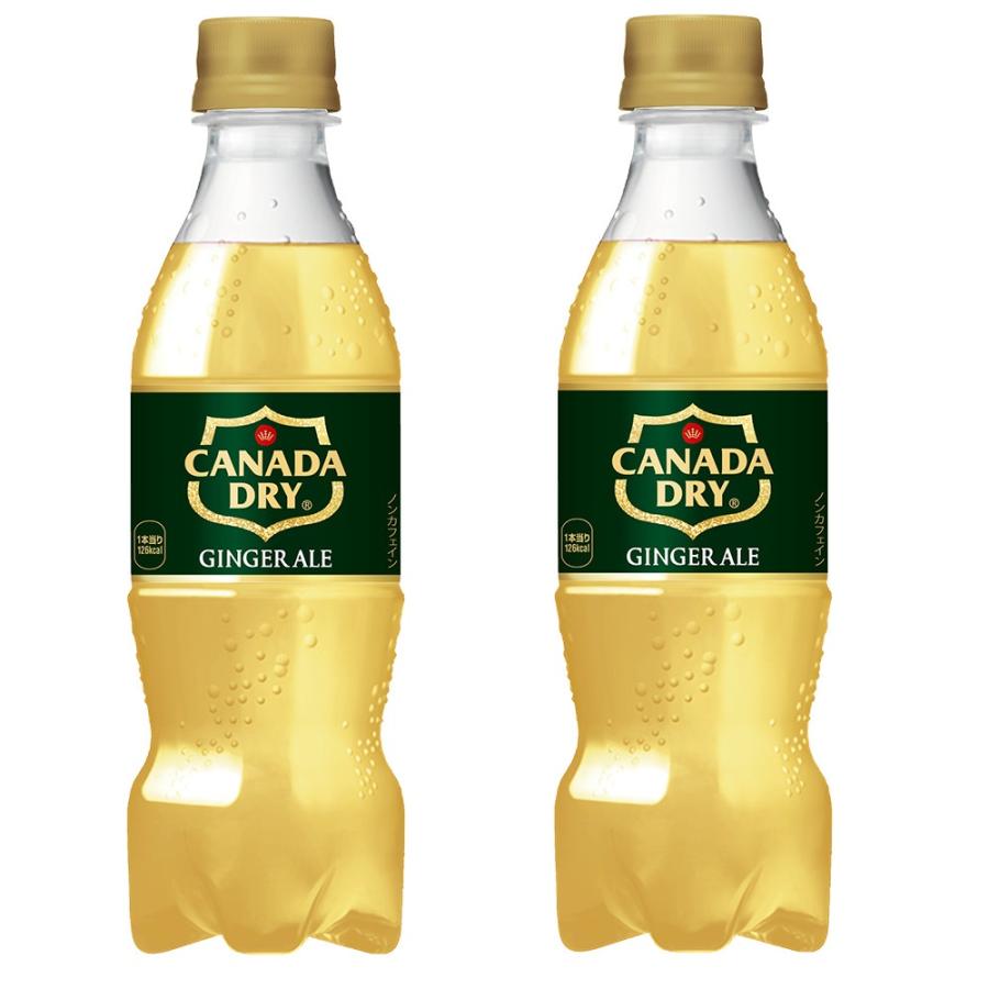 カナダドライ 送料無料 (地域限定) ジンジャーエール 350ml PET ×24本