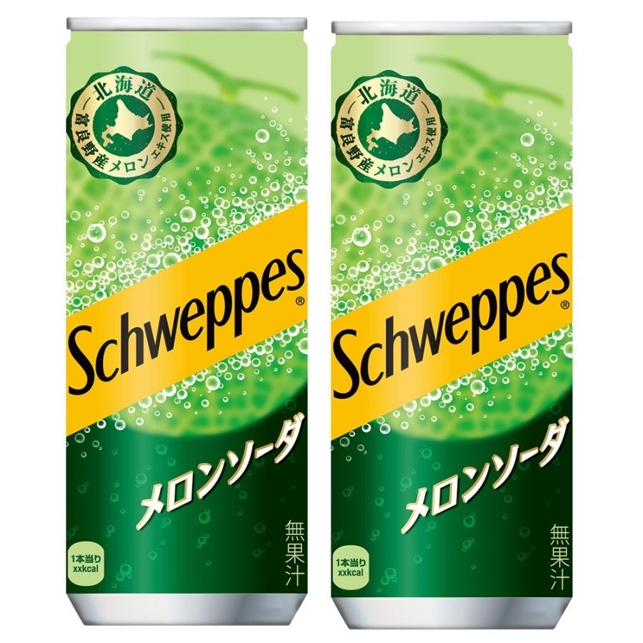 シュウェップス 3ケースセット 地域限定送料無料 メロンソーダ 250ml缶