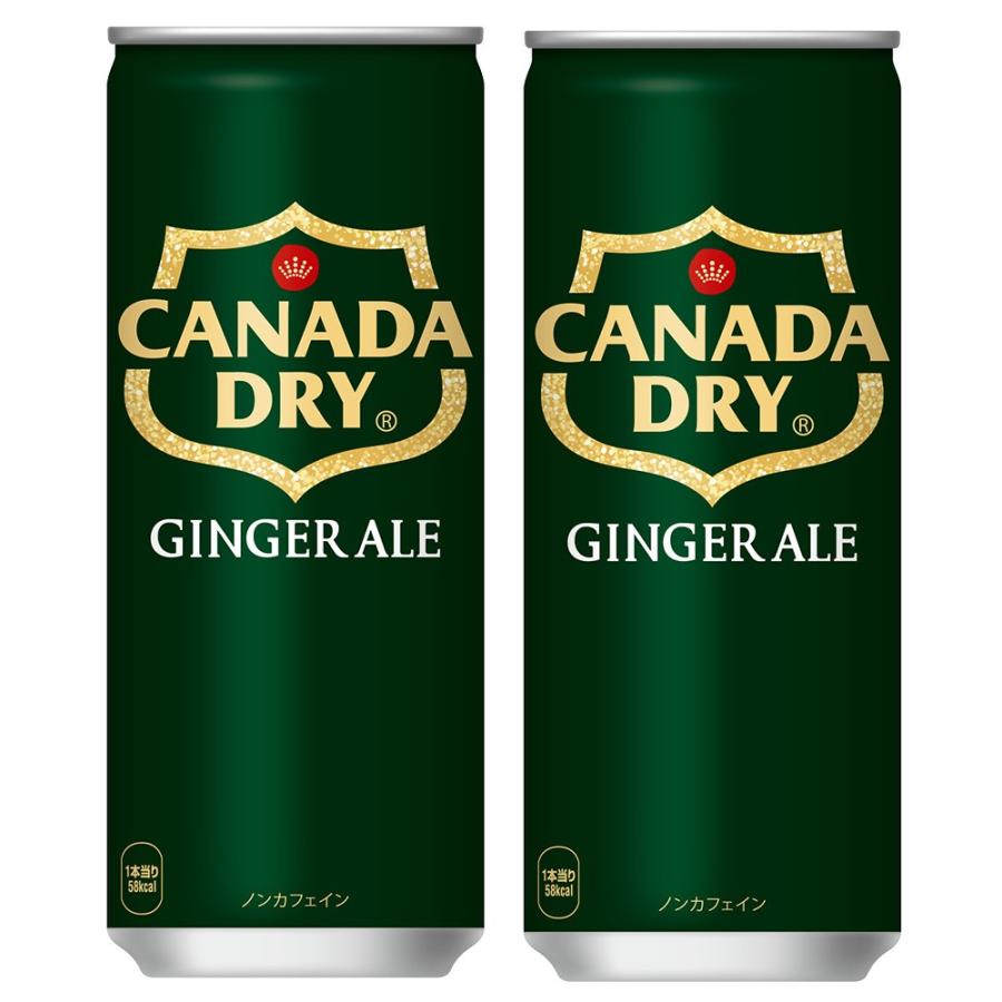カナダドライ 2ケースセット 限定送料無料 ジンジャーエール 250ml缶