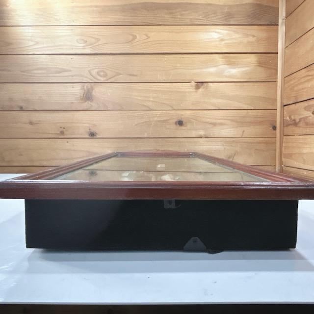 中古】フライフィッシング ウォールアート 壁掛 オブジェ ミニチュア