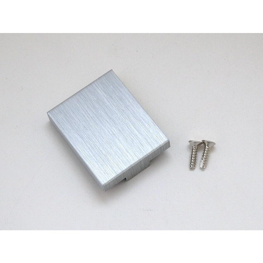 LAMP GM100用 正面プレートGM100-006SLH シルバーヘアライン仕上取付け