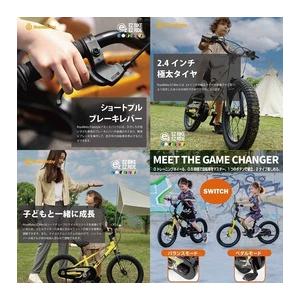 【直送 代引き不可】 OTOMO キッズ自転車 EZ FREESTYLE 着脱ペタル 12インチ レッド 67962の画像