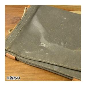 スウェーデン軍放出品 マップケース M39 [ 難あり / タイプ1 ] 軍物 軍