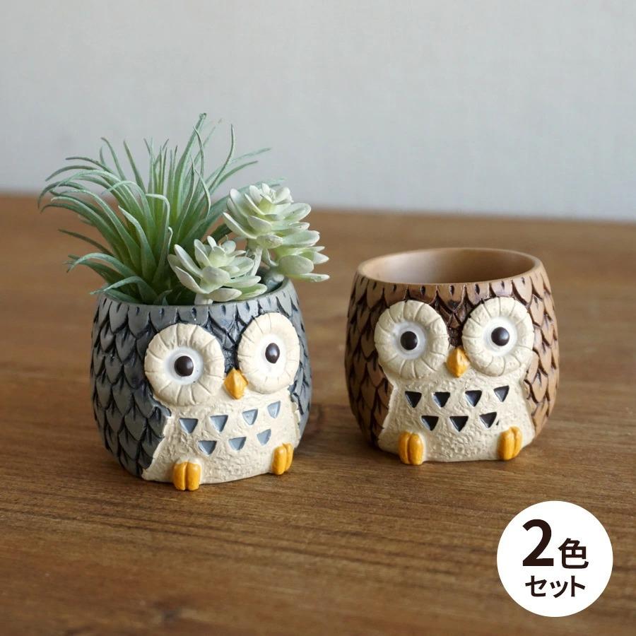 ミニ 植木鉢 リトルレジンポット フクロウ 2色セット 穴なし 1号 ミニ 植木鉢 リトルレジンポット フクロウ 2色セット 穴なし 1号
