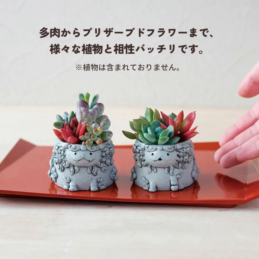 ミニ 植木鉢 リトルレジンポット 狛犬 2種セット 穴なし 1号ポット用鉢