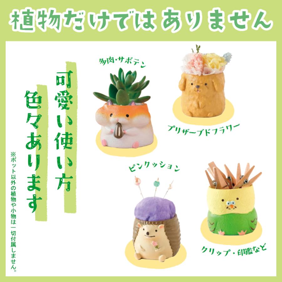 ミニ 植木鉢 リトルレジンポット 妖狐 2色セット 穴なし 1号ポット用鉢
