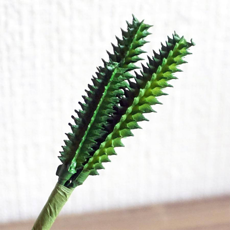 多肉植物 造花 カクタス 2本 サボテン さぼてん 小さい フェイク