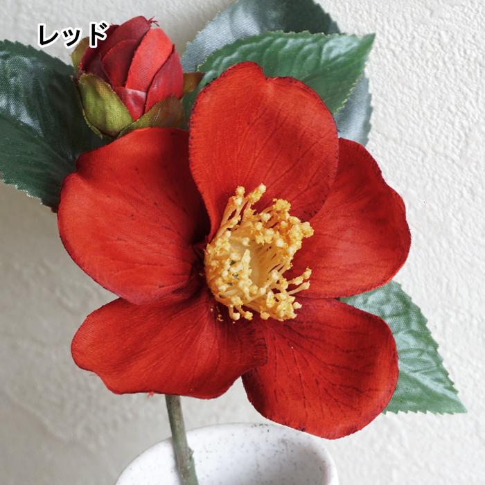 椿文花入 (未使用 新品同様) 楽天市場】【鉢花植え】 【ツバキ】古典椿 紅乙女椿 信楽鉢入り