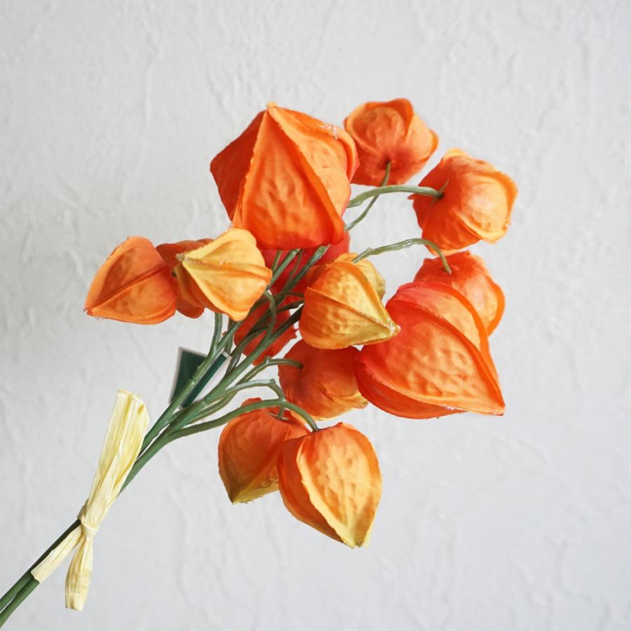 ビーズフラワー　ほおずき 08直前FJ】熊本県 ほおずき3Lサイズ - 花材通販はなどんやアソシエ