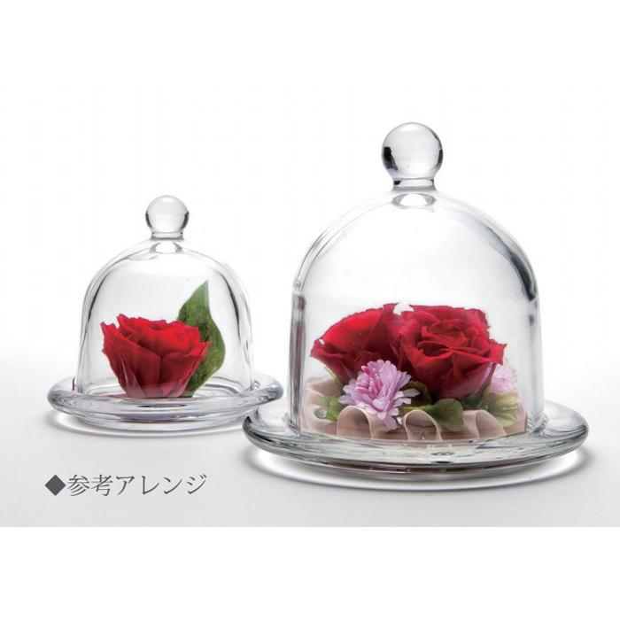 花器 ガラスドーム Mサイズ 1個 フラワーベース ガラス コンポート 花資材 花材 インテリア ディスプレイ Glassdome M リポーズジョイ 通販 Yahoo ショッピング