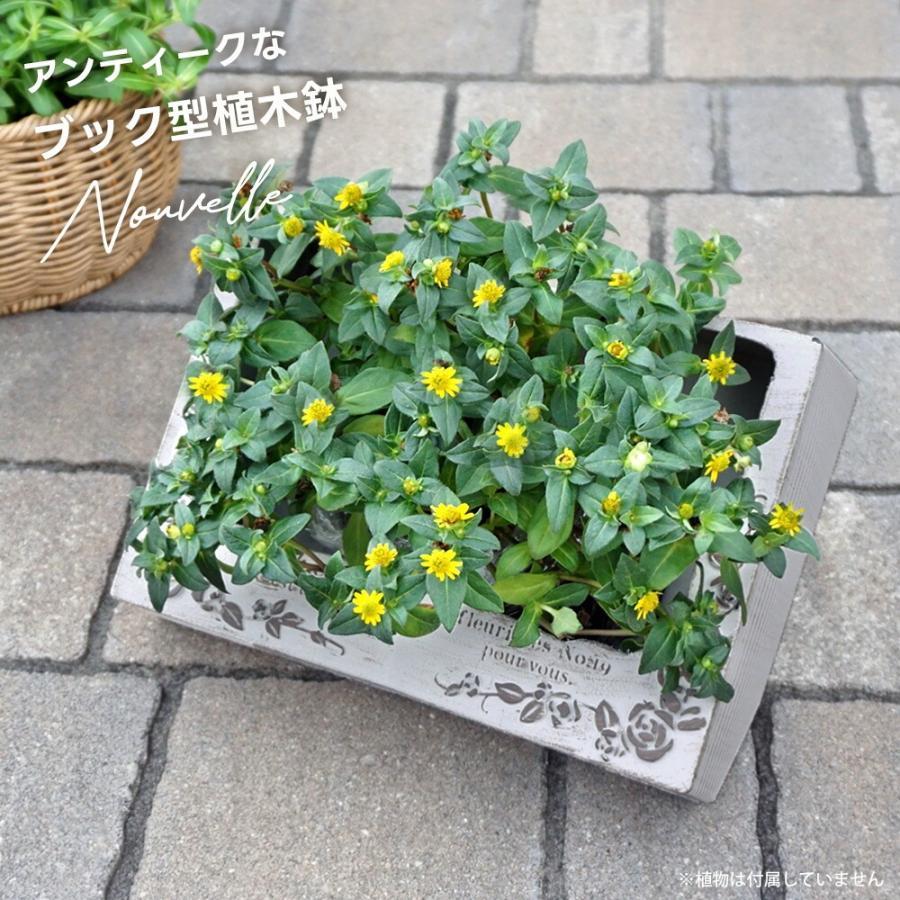 友膳 ヌヴェルワイド 穴あり ブック型プランター 植木鉢 本型