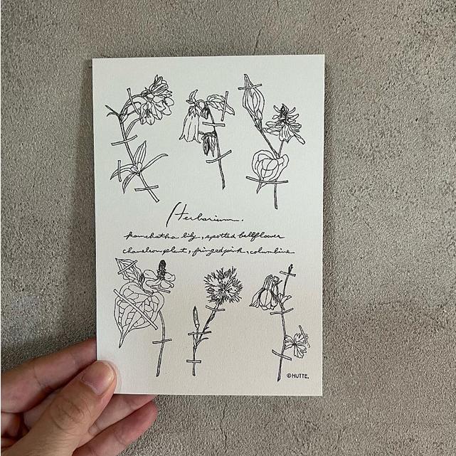 ポストカード おしゃれ HUTTE 消しゴムはんこ 植物図鑑