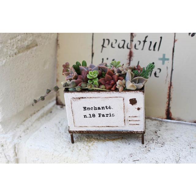 プランター ブリキ アンシャンテポット 多肉植物におすすめ Ma1739 雑貨のお店ルポゼ神戸 通販 Yahoo ショッピング