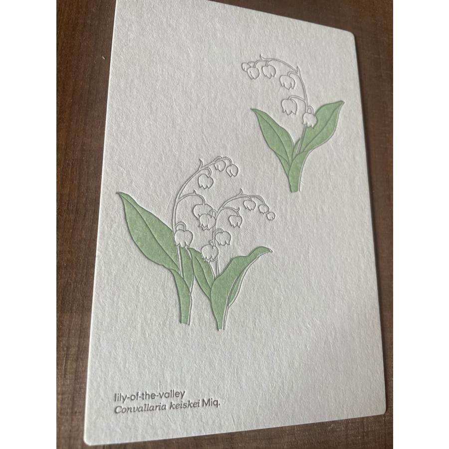 ポストカード おしゃれ 絵葉書 手紙 植物 花 フラワー 活版印刷