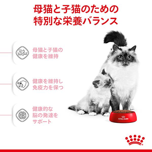 ロイヤルカナン FHN マザー＆ベビーキャット 2kg ▼g ペット フード 猫 キャット フィーラインヘルスニュートリション｜reprosstore-pet｜03