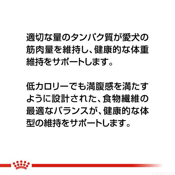 ロイヤルカナン CCN ミニ ライト ウェイト ケア 8kg ▼g ペット フード 犬 ドッグ 小型犬 体重 減量 ケーナイン ケア ニュートリション 送料無料｜reprosstore-pet｜03