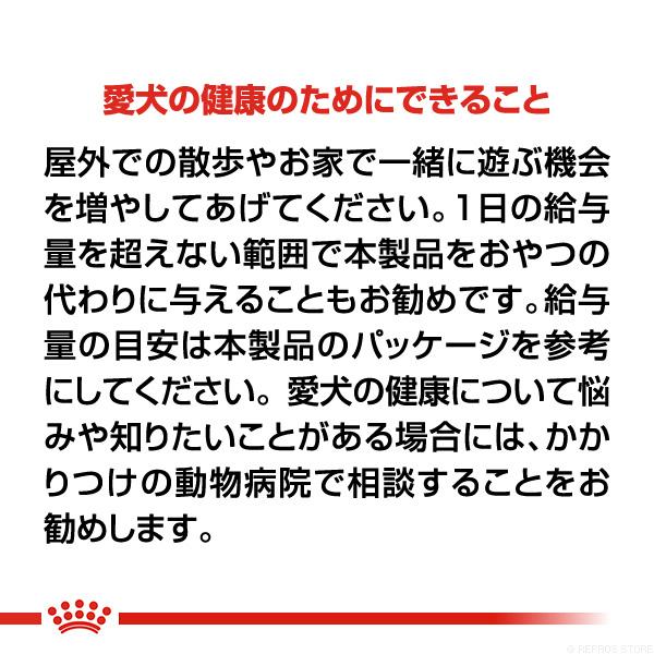 ロイヤルカナン CCN ミディアム ステアライズド 避妊・去勢犬用 12kg ▼g ペット フード 犬 ドッグ 中型犬 満足感 体重維持 送料無料｜reprosstore-pet｜04