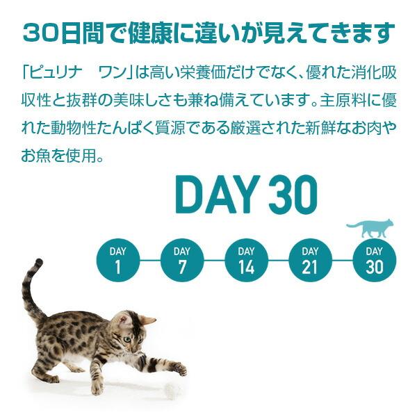 ピュリナワン ピュリナ ワン キャット 美味を求める成猫用 1歳以上