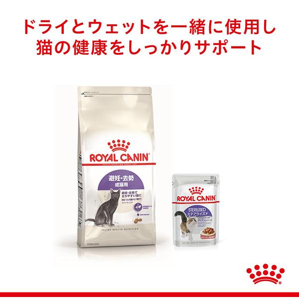 ロイヤルカナン FHN-WET ステアライズド 85g ▼g ペット フード キャット 成猫 アダルト ウェット｜reprosstore-pet｜04