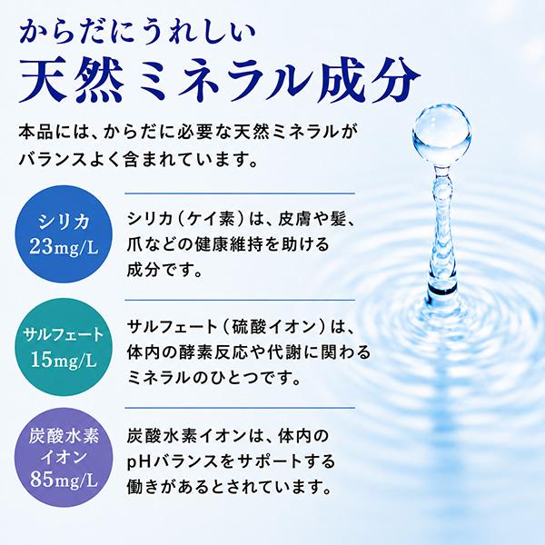 純天然のアルカリイオン水 金城の華 500ml×48本 ケイエフジー メーカー