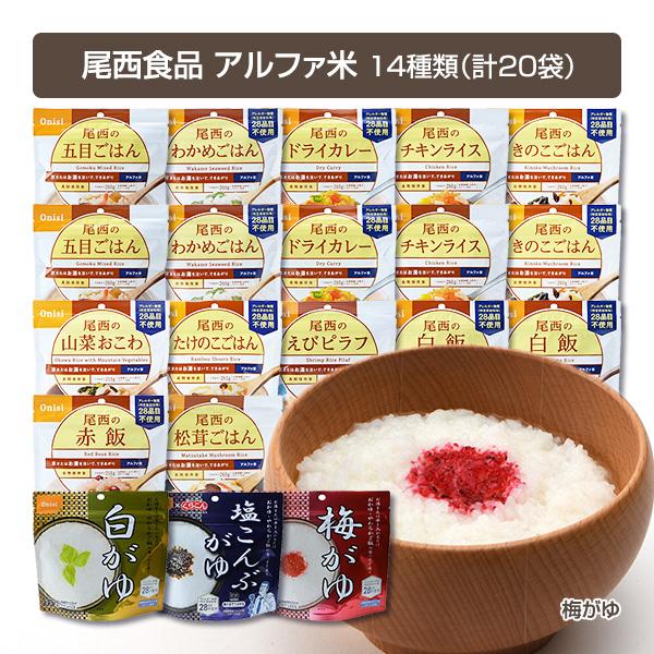 尾西食品 非常食 10日間セット 5年保存 非常食セット 17種類30食 防災