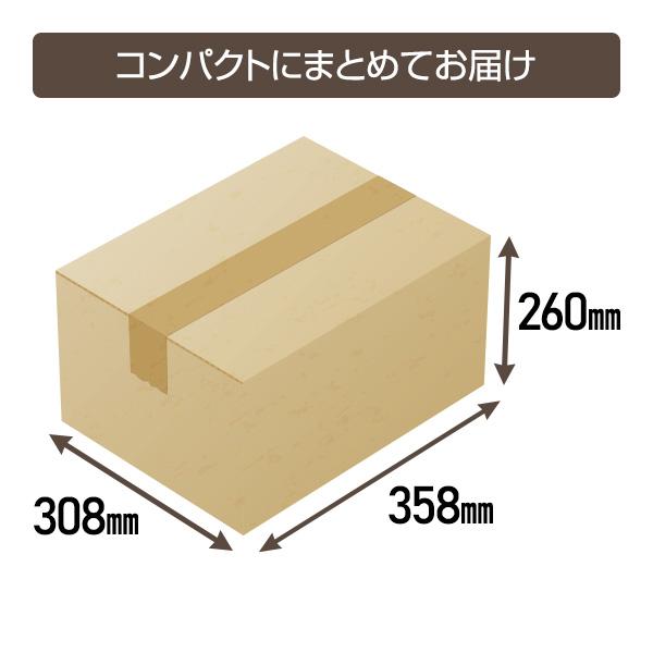 尾西食品 非常食 10日間セット 5年保存 非常食セット 17種類30食 防災