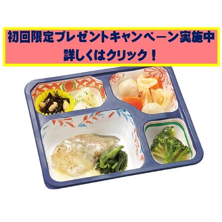 MFSやわらか減塩食６食 お試しセット 介護食 やわらかい食事 冷凍弁当 治療食