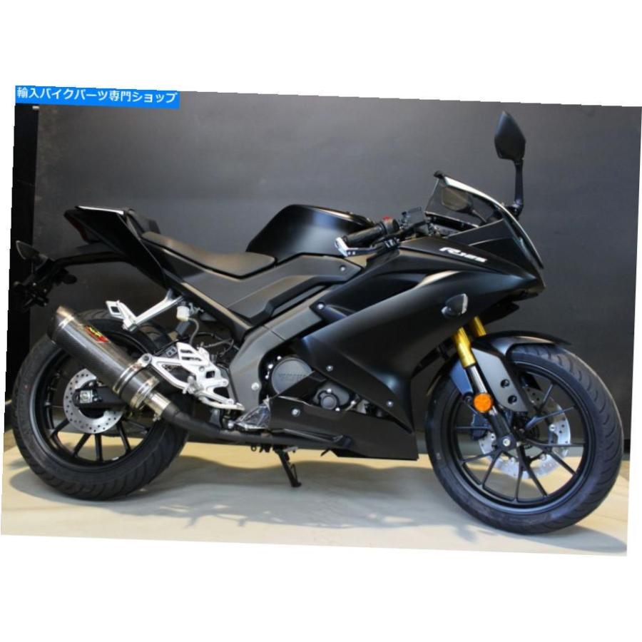 サイレンサー ヤマハYZF-R 125 2019-2020エンディエキゾーストフルシステム+サイレンサーXR-3フルカーボン Yamaha YZF-R 125 2019-2020 Endy Exhaust