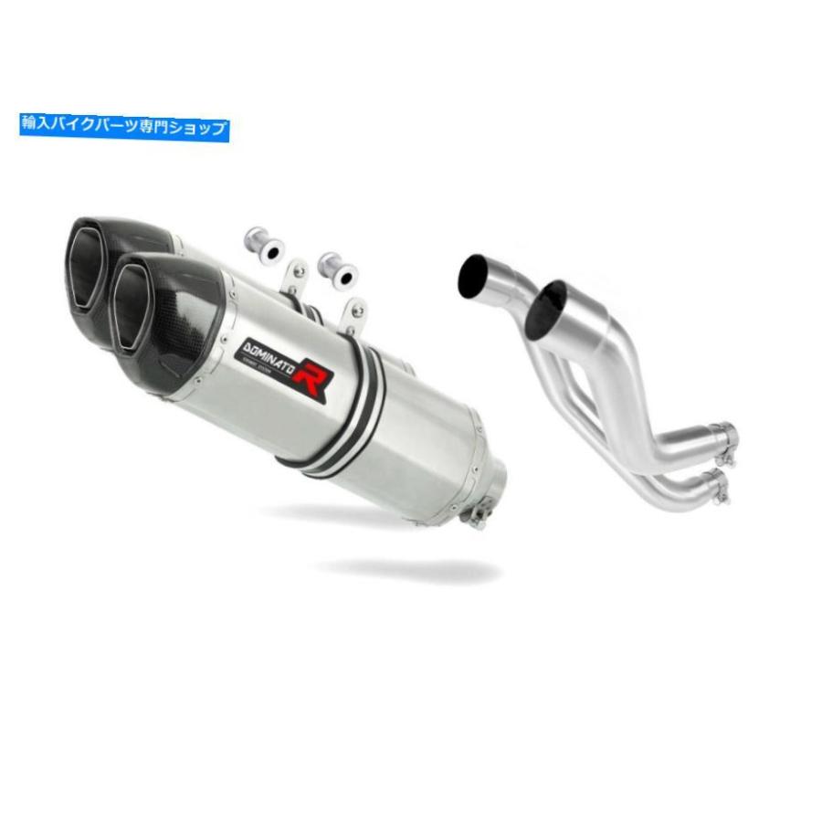 サイレンサー 排気ガスサイレンサーマフラードミネーターHP1 PEGASO 650トレイル06-10 + DB殺害者 Exhaust silencer muffler DOMINATOR HP1 Pegaso 650 Tr マフラー-車、バイク、自転車