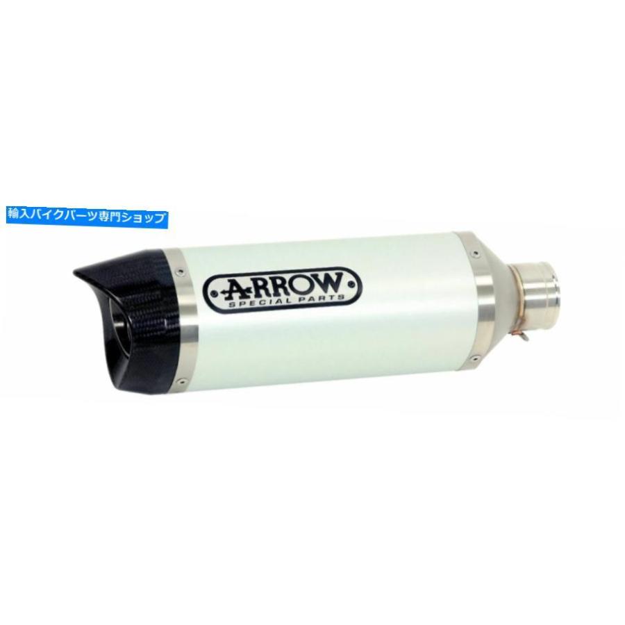 サイレンサー サイレンサーThunder Arrow Titanium Inox for z 1000 2014-2016 SILENCERS THUNDER ARROW TITANIUM INOX FOR Z 1000 2014-2016