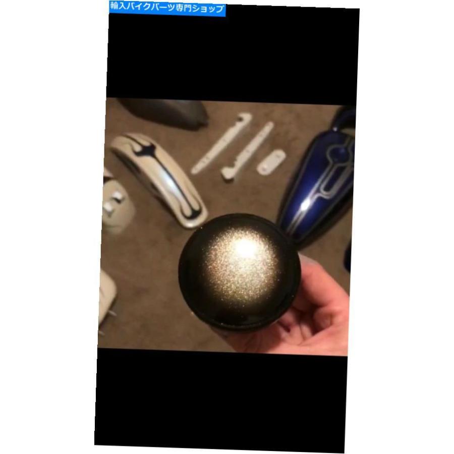 Gas Tank ハーレーダビッドソンガスキャップカスタム塗装スポーツ