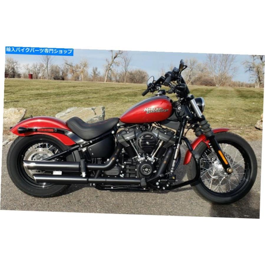 Gas Tank アメリカメイドハーレーソフトストリートボブFXBBガスタンク