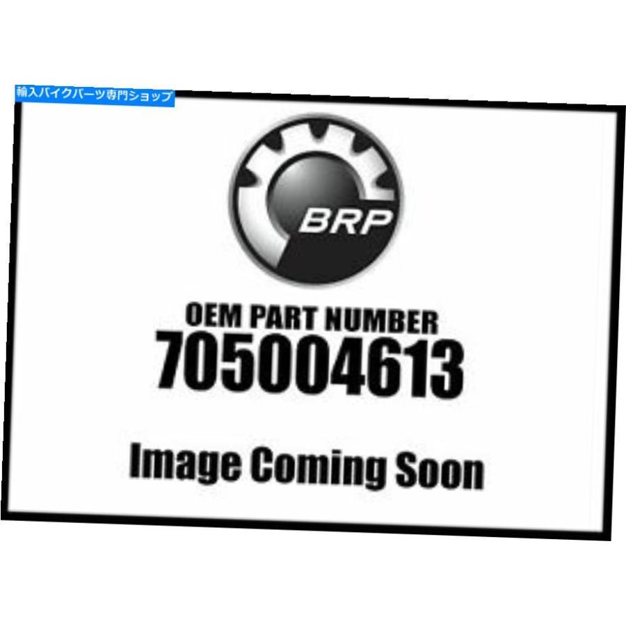Front Fender 蜘蛛LHフロントフェンダーメタリックマグネシウム705004613耳あたらしいOEM Spyder Lh Front Fender Metallic Magnesium 705004613 New 外装パーツ-フロントフェンダー-バイク