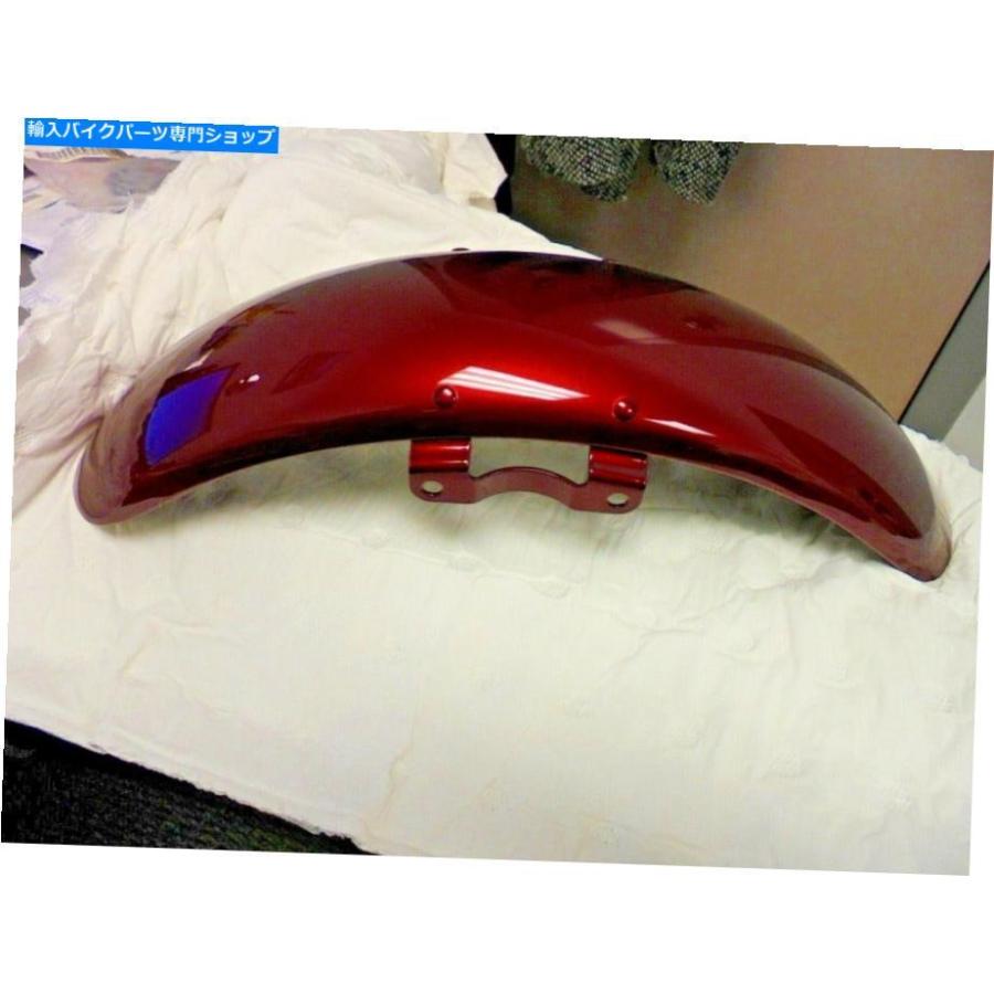 Front Fender ハーレーダビッドソンフロントフェンダーPN 58900069DZT