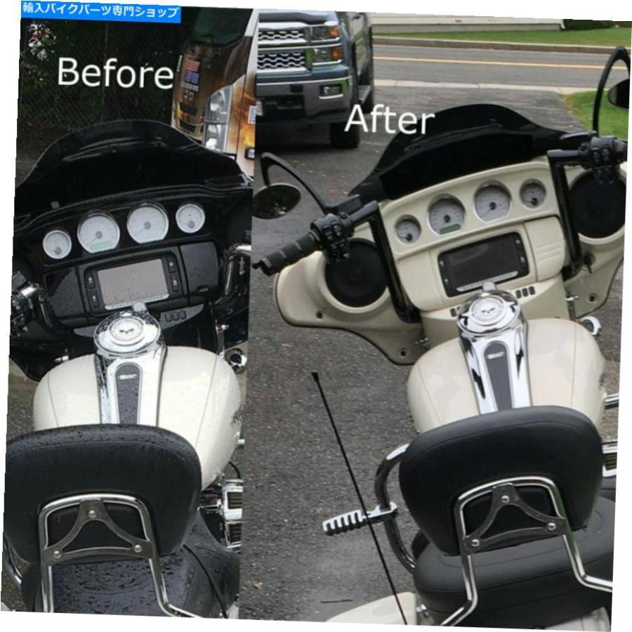 額 Inner Fairing モロッコゴールドパールバットウィングインナースピード