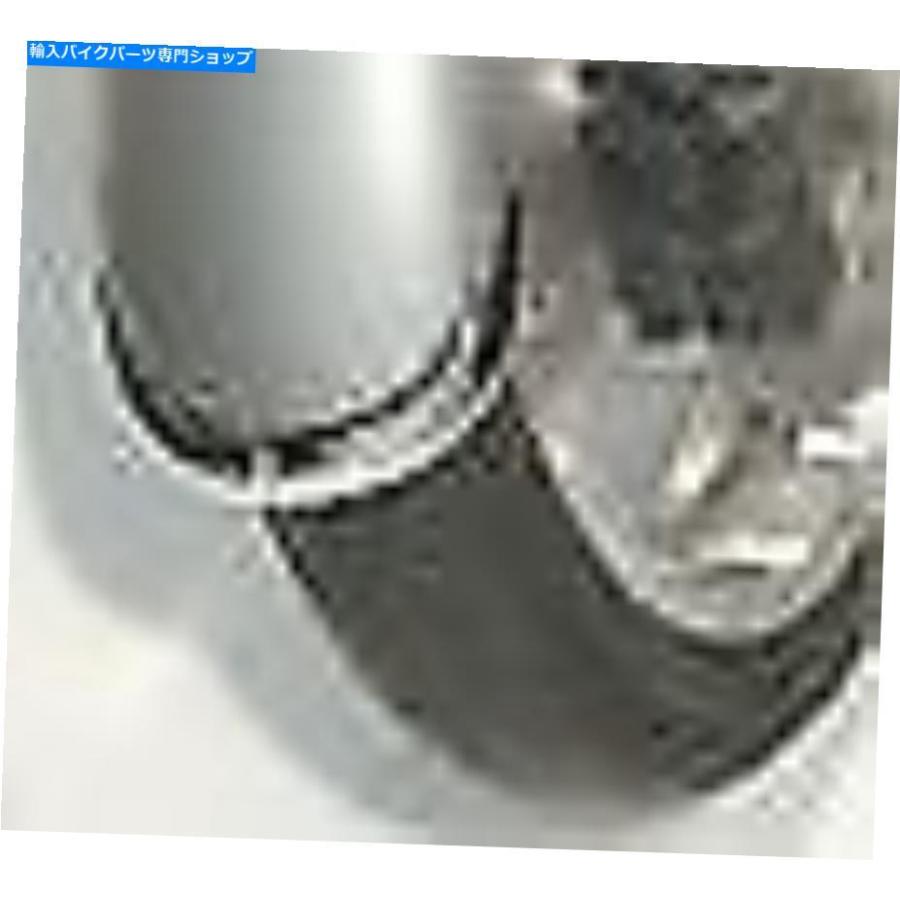 Rear Fender ナショナルサイクルキャストリアフェンダーチップN7004 55-2743 562-30226 NATIONAL CYCLE CAST REAR FENDER TIP N7004 55-2743 562-3022の画像