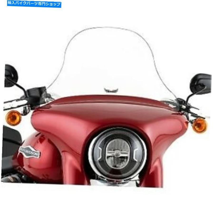 Windshield スリップストリーマ10 