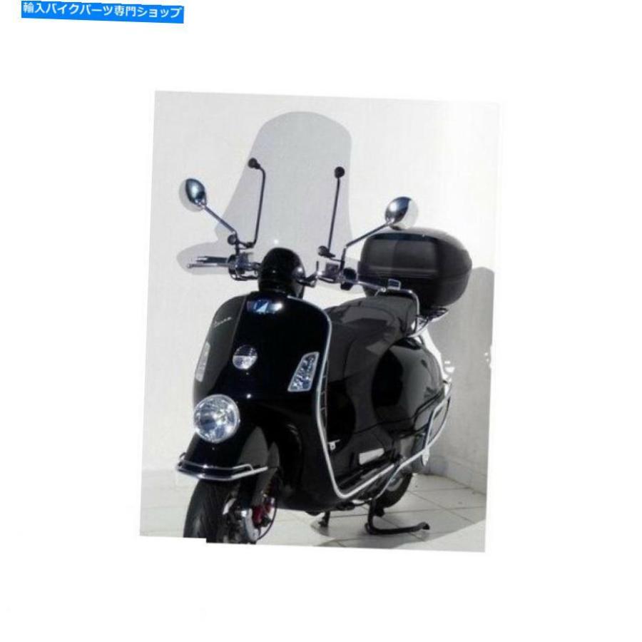 激レア品 TEAM JAPAN サイクルジャージ ビブショーツ ベストセットの