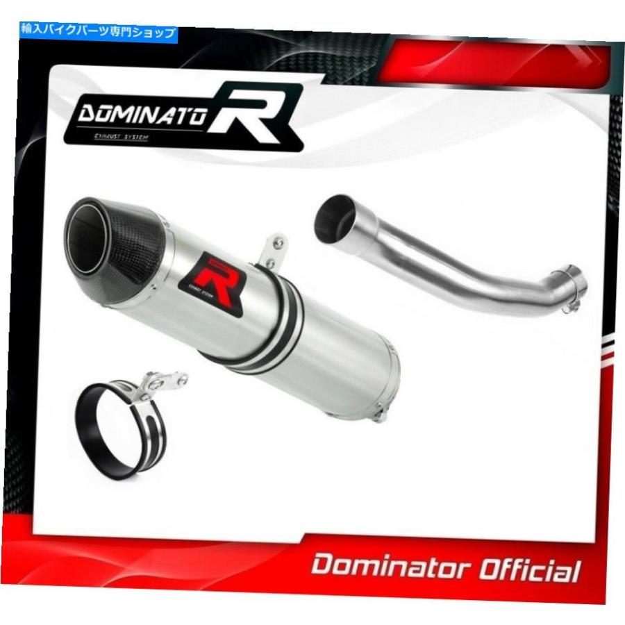 サイレンサー LTR 450 LT-R 450排気HP2カーボンドミネータサイレンサー2006 2007 2008 2009 LTR 450 LT-R 450 Exhaust HP2 Carbon Dominator silencerの画像