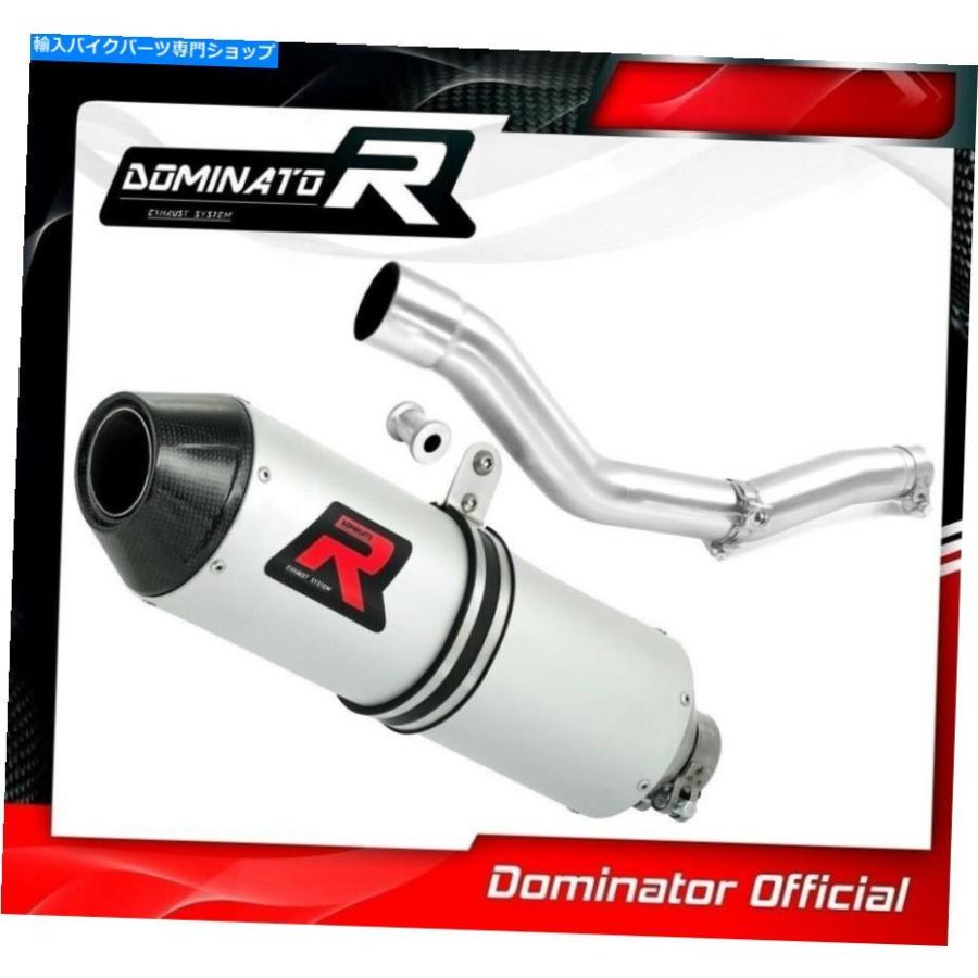 サイレンサー WR 250 FエキゾーストMXドミネーターレーシングサイレンサーマフラー2001 2002 2003 WR 250 F Exhaust MX Dominator Racing silencer muの画像