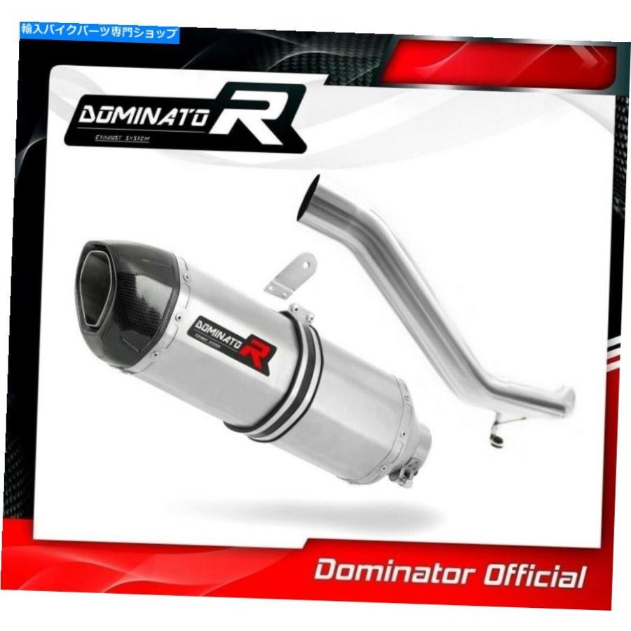 サイレンサー Tiger Explorer 1200排気HP1支配レーシングサイレンサーマフラー2012 2013 Tiger Explorer 1200 Exhaust HP1 Dominator Racing silencerの画像