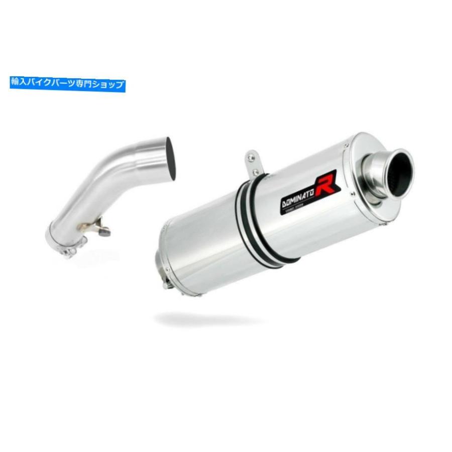 サイレンサー 排気サイレンサーマフラードミネーターオーバルBMW R1200RT 04-09 + DBキラー Exhaust silencer muffler DOMINATOR OVAL BMW R1200RT 04の画像