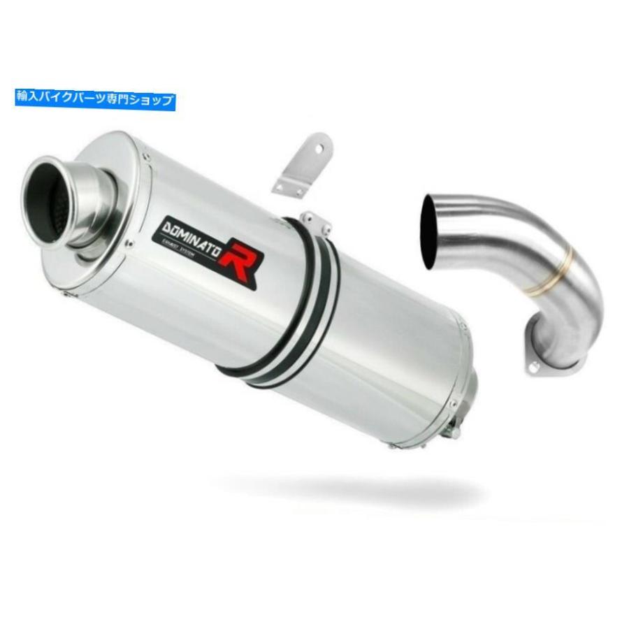 サイレンサー ETV 1200 Caponord排気オーバルドミネーターレーシングサイレンサーマフラー2013 - 2016 ETV 1200 Caponord Exhaust OVAL Dominator Racの画像