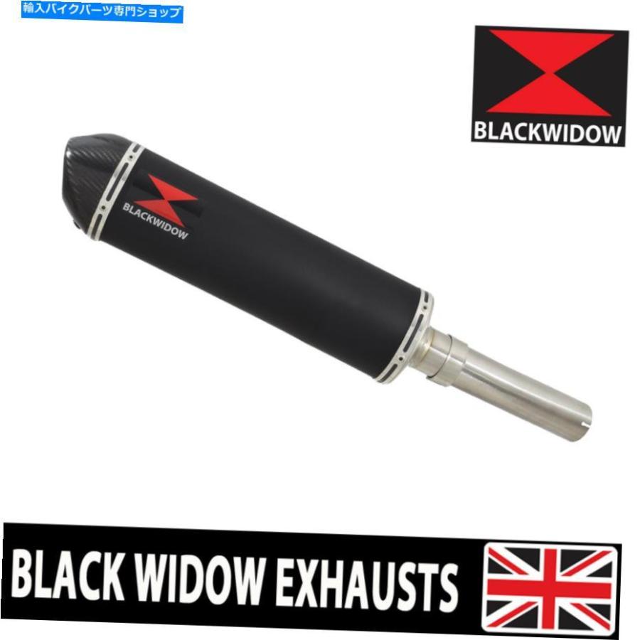 サイレンサー フィットLEXMOTO LXR125排気サイレンサーオーバルブラックステンレスカーボンチップBC40V Fits Lexmoto LXR125 Exhaust Silencer Oval B
