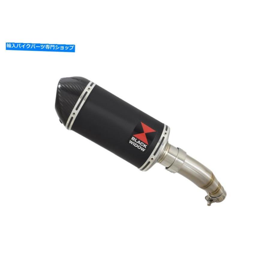 サイレンサー NINJA 125 Z 125排気サイレンサー200mmオーバルブラックステンレスカーボンチップBC20V Ninja 125 Z 125 Exhaust Silencer 200mm Oval Bの画像